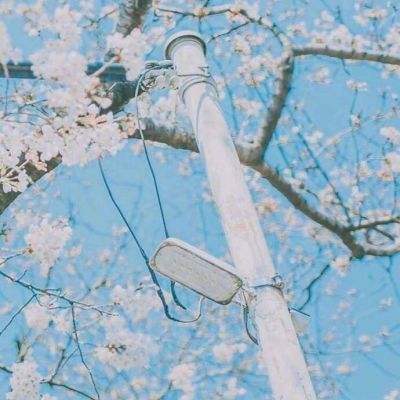 一剑屠龙手游下载
